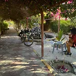 Al Bayan Palms