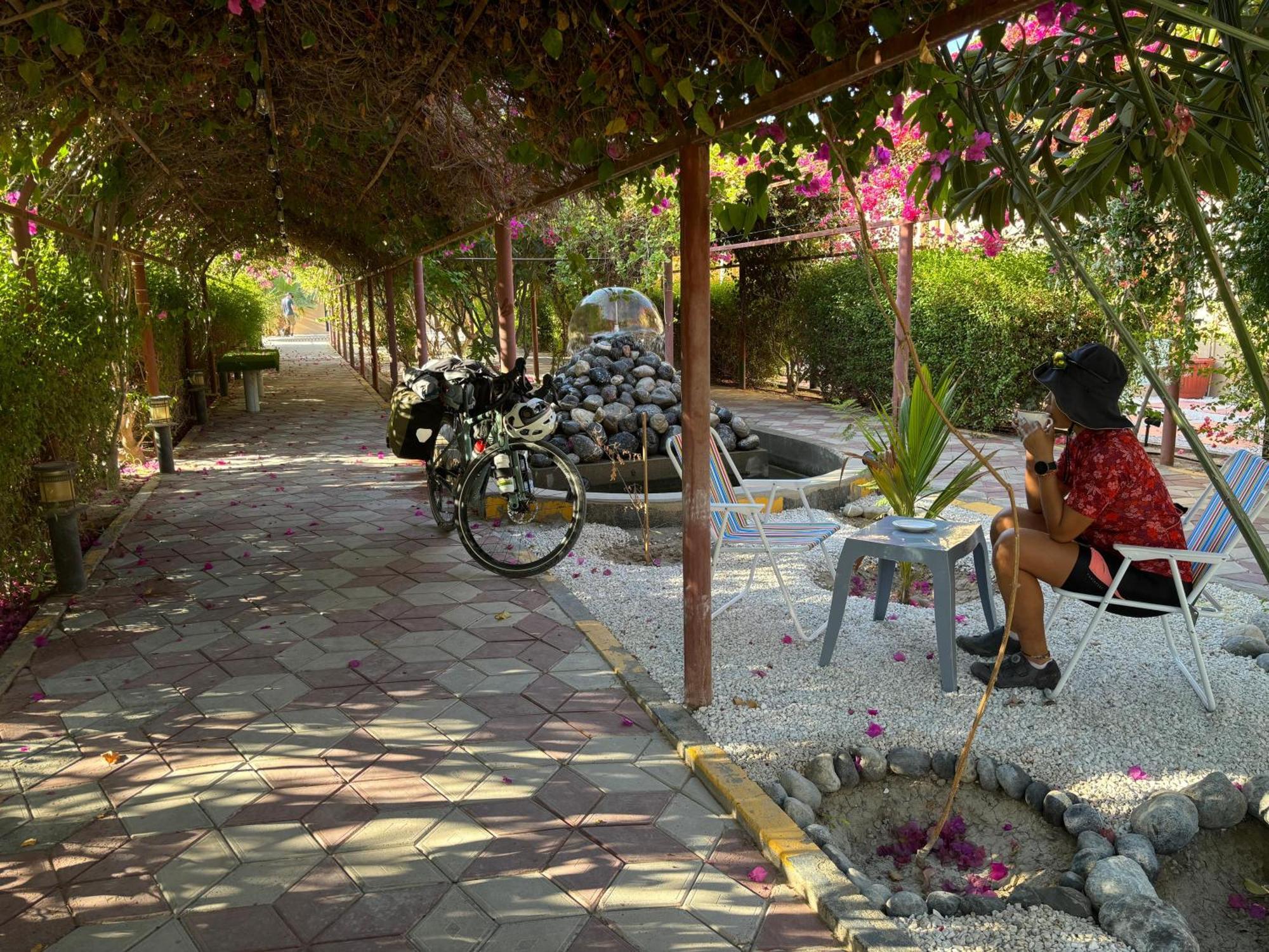Al Bayan Palms Station touristique *
